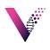 Vector BioMed, Inc. logo