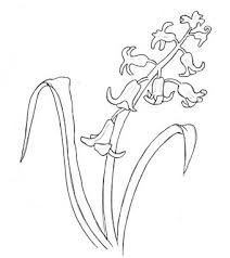 My community has been asking for ways to support deliberately creative:click the teespring shop shelf right below the video for deliberately creative branded. Bluebell Blue Bell Flowers Flower Line Drawings Flower Wall Design