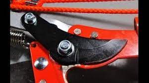 Diameter while the 12 in. My Opinion On The Harbor Freight Tree Pruner Youtube