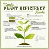 Just to be clear, the flowering stage of the marijuana growth cycle is all about cola and bud before you begin feeding your weed plants any nutrients, it is wise to look up the nutrient requirements of the specific marijuana strain you are. 1