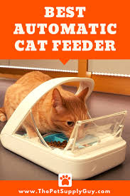 Best self feeders for cats to consider reviewed. Best Automatic Cat Feeder Automatic Cat Feeder Automatic Cat Cat Feeder