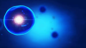 We did not find results for: Cell Genetics Basic Concepts Genome Quebec Education Et Formations