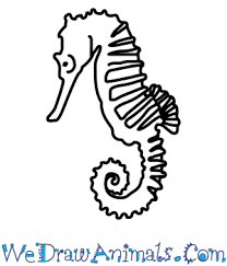 Maybe you would like to learn more about one of these? How To Draw A Seahorse