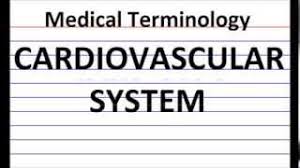 Updated with the latest medical terms and illustrations, these. Medical Terminology Flash Cards Cardiovascular System Youtube