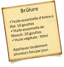Niaouli La Specialiste Des Infections Huiles Essentielles Aromatherapie Huile Essentielle Niaouli Huiles Essentielles Huile