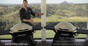 Which Weber Q Is Right For You Weber Gas Grills Weber Grill Gas Grills On Sale