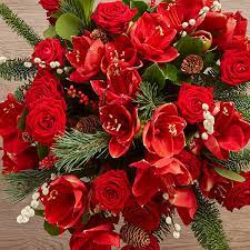 Choose from a large selection of reasonably priced, professionally designed and arranged, christmas flowers. Order Fresh Beautiful Christmas Flowers Uk Next Day Delivery Flowers For Christmas Delivery