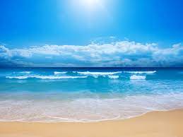 Check spelling or type a new query. 49 Free 3d Beach Wallpaper On Wallpapersafari