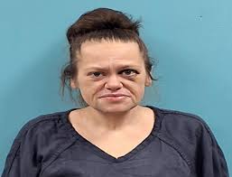 Chasity Lee Wampler Charges: Violation Of Probation/Parole Methamphetamine 