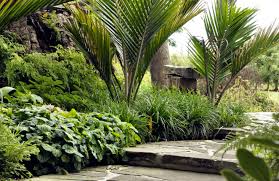 Nikau Crazy Paving Ferns Garden Landscape Design Native Garden Tropical Garden Design