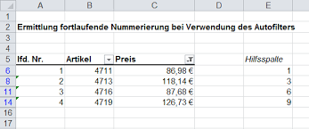 Verwenden sie die kategorie „nummerierung und dort den feldnamen „seq. Laufende Nummerierung Trotz Autofilter Excel Inside Solutions