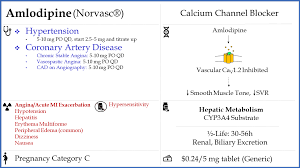Image result for Calcium Channel Blocker