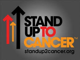 Stand up to cancer was founded in 2008 and since then they have managed to raise funds worth of $262 million. Stand Up To Cancer Charity May Ball Home Facebook
