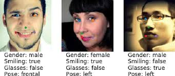 PDF] GradNorm: Gradient Normalization for Adaptive Loss Balancing in Deep  Multitask Networks