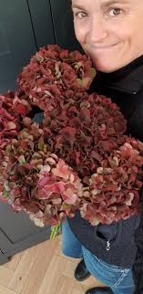 The Suburban Succulent