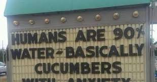 22195701 10155344792328800 4775024354447880175 N Jpg 463 375 Pixels Funny Signs Funny Make Me Laugh