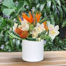You can see how to get to culver city flower shop on our website. Mahalo Flower Delivery Nyc Plantshed Com