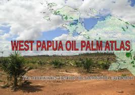The kayu lapis group brings two more concessions into tbi program in partnership with the tff. West Papua Oil Palm Atlas
