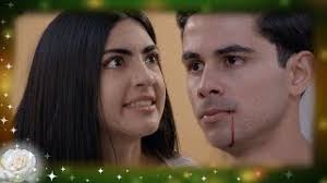 La mala educacion támbien puedes descargar musica mp3 gratis, y si aún no sabes como bajar musica mp3 puedes ver las. La Rosa De Guadalupe Ofelia Descarga Su Ira En Luis La Otra Violencia ØªØ­ÙÙÙ Ø§ØºØ§ÙÙ ÙØ¬Ø§ÙØ§