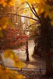 El Tiempo Es Relativo Su Unico Valor Es Dado X Esto Q Nosotros Hacemos Mientras Q Esta Pasando Albert Einstein Beautiful Fall Landscape Nature