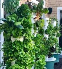 Tower garden flex, our original growing system, is the ultimate customizable, expandable home growing system. Sharing A Passion For Aeroponic Tower Gardens Jersey Shore Scene