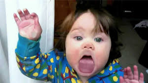 Kitchen essentials for draining pasta and washing fruits