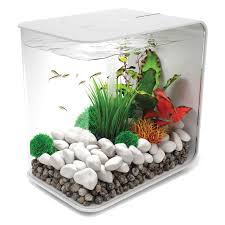 Biorb By Oase Flow 4 Gallon Aquarium White Betta Fish Tank Aquarium Fish Tank Aquarium