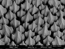 When autocomplete results are available use up and down arrows to review and enter to select. 8 Ordinary Things That Look Insanely Cool Under A Microscope Cracked Com