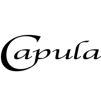 We did not find results for: Capula Investment Management Llp Linkedin