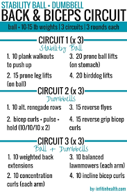 Stability Ball Dumbbell Back Biceps Circuit Workout