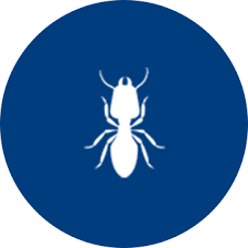 Learn how we can help you solve your pest problem today!pic.twitter.com/gl7engwasr. Home Page