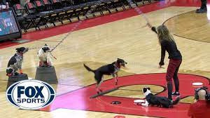 Dog Double Dutch At Halftime Of No 21 Iowa At Rutgers Fox Sports Youtube