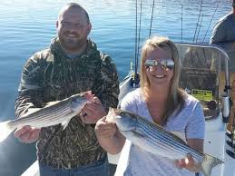 Created by carrie cates • updated on: Best Fishing In The Las Vegas Area Trophy Bass Trout