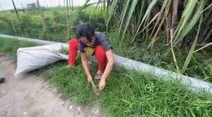 …ra sexsi, hapy asmara hot, happy asmara biodata, biografi happy asmara, heppy asmara hot, happy asmara profil, kalau agan dan sista memerlukan file youtube video yang oke banget ini. Sudah Jadi Pedangdut Terkenal Happy Asmara Tak Malu Ngarit Nyari Rumput Merdeka Com