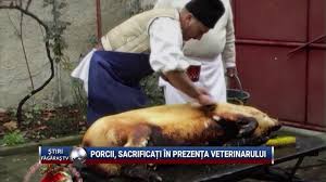 This is especially handy if you have large values of minutes to be converted to hours. Porcii Sacrificati In Prezenta Veterinarului Youtube