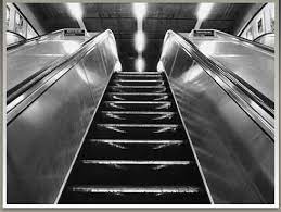 T here are seven basic elements of photographic art: Elements Of Art Project Introduction To Photography