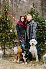 See more ideas about christmas pictures, pictures, christmas photography. Merry Christmas 2018 Daily Dog Tag