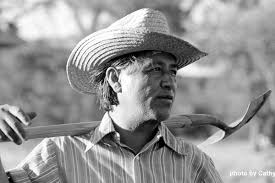 Chavez national holiday works to win national recognition for farm worker leader cesar send to: Cesar Chavez Day Habitat For Humanity Of Greater Los Angeles