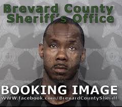 Titusville man charged with striking Melbourne police officer with SUV side  mirror