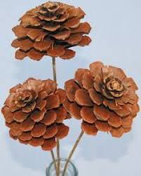 Pine Cone Flowers Google Search Cones Crafts Pine Cone Crafts Pine Cone Decorations