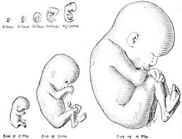 In toddlers and young children, a sudden bout of vomiting is most commonly caused by a tummy bug (gastroenteritis) (nhs 2018a). The Project Gutenberg Ebook Of Obstetrical Nursing By Carolyn Conant Van Blarcom
