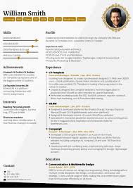 Write a custom curriculum vitae for every job opening: 6 Professional Cv Templates That Will Make You Stand Out