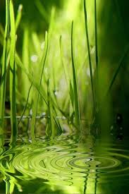 3d Nature Wallpaper For Android Mobile Free Download Allwallpaper Hd Nature Wallpapers Best Nature Wallpapers Hd Nature Iphone Wallpaper Sorry your screen resolution is not available for this wallpaper.