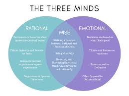 The 3 Minds Emotional Rational And Wise Hello Peaceful Mind Wise Mind Emotions Mindfulness