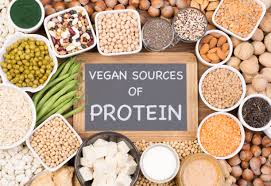 Image result for Protein