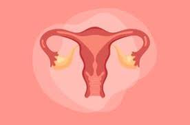 Maybe you would like to learn more about one of these? Usia Berapa Wanita Harus Sadar Kanker Serviks