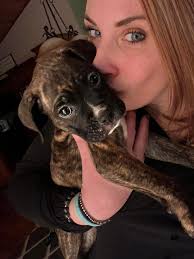 Let's see those handsome Boxer profiles. This is Lincoln 🐕🐾💚