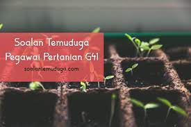 Biasanya, penjadualan temuduga spa akan dilakukan pada bulan oktober bagi sesi kemasukan januari tahun hadapannya. Soalan Temuduga Pegawai Pertanian G41 Soalantemuduga Com