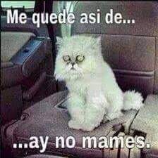 Hay No Mames Funny Spanish Memes Funny Memes Funny Pictures