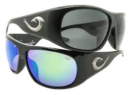 Aiming to tell the dark secrets of computer arithmetic, this title. Tahitian Hooker Polarized Blackflys